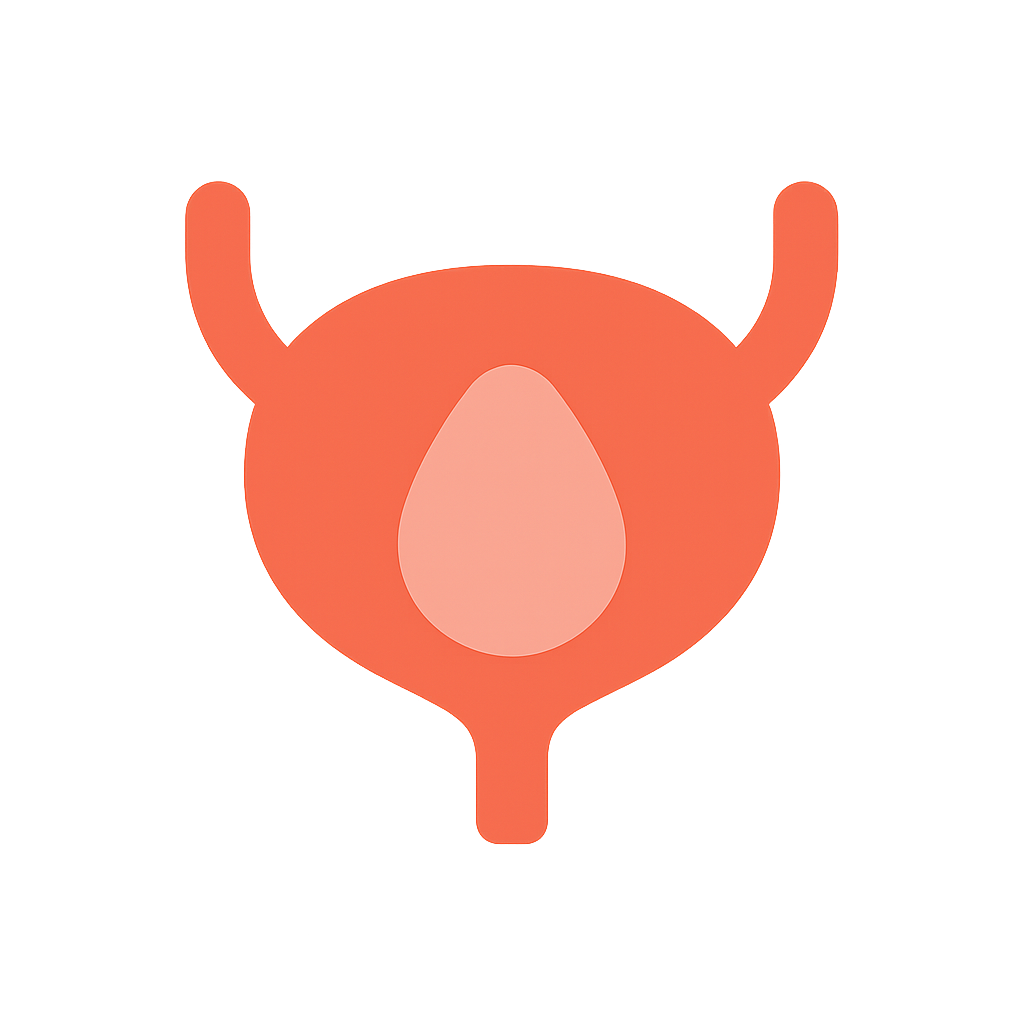 Bladder Cancer icon