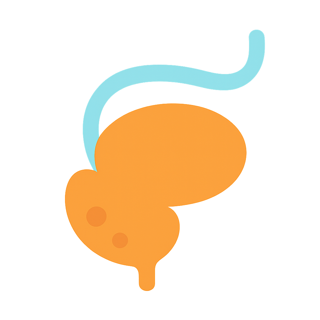 Prostate Cancer icon